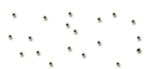 Johnny Gunslinger
